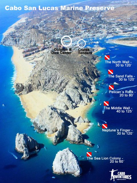 Los Cabos 3-Hour Certified Scuba Diving Tour - Diving Equipment and Requirements