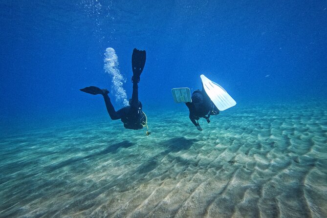 Los Christianos Private Scuba Diving Experience W/ Instructor (Mar ) - Booking Details