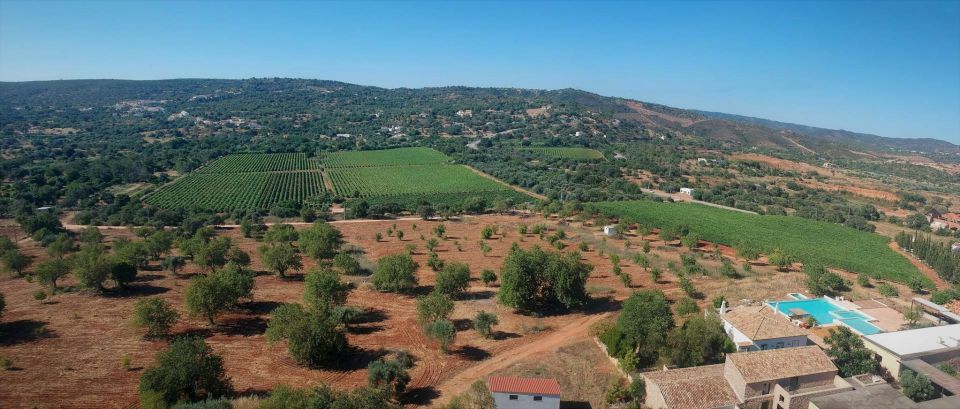 Loulé: Quinta Da Tôr Winery Guided Tour & Wine Tasting - Wine Tasting Options and Experience