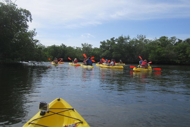 Lovers Key Guided Eco Tour-Mangrove Estuary - Wildlife Encounters and Ecosystem Learning