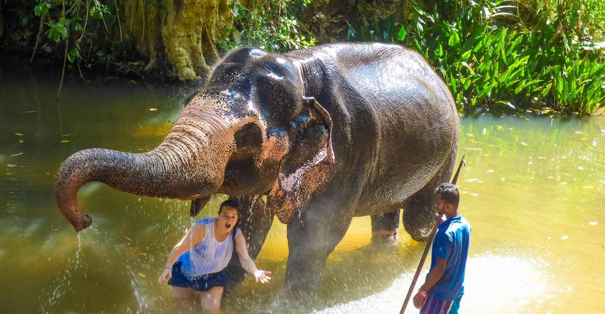 Luang Prabang Elepphant Keeper Bathe Option Kuangsi Tour - Last Words