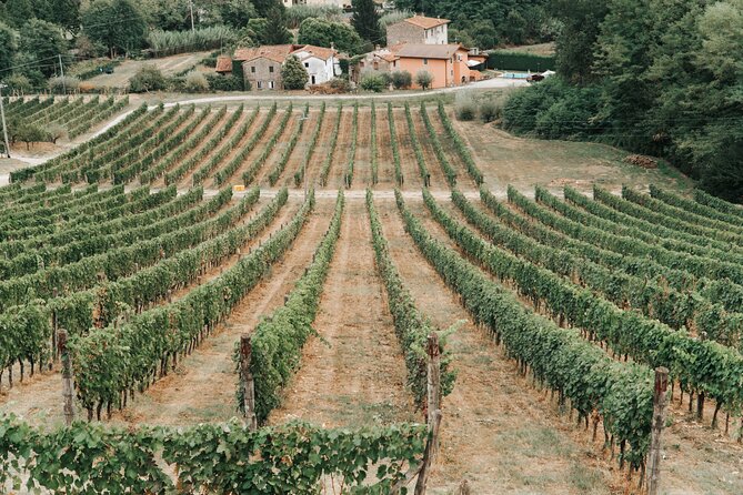 Lucca: Wine Tasting Experience - Tenuta Adamo Winery - Additional Information