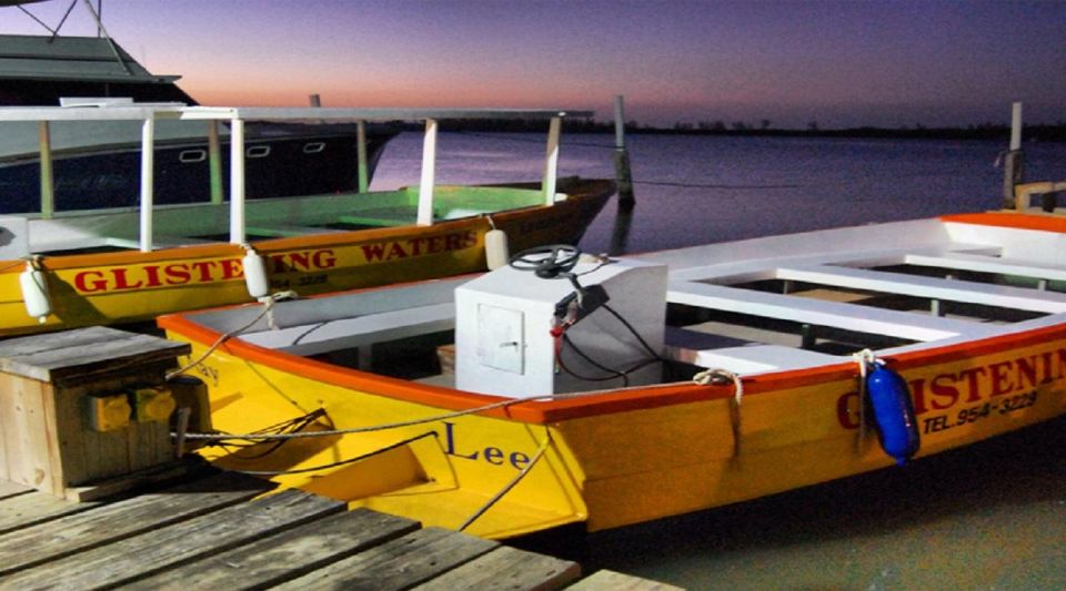 Luminous Lagoon (Glistening Waters) Private - Falmouth Mystic Lagoon Night Tour Insights