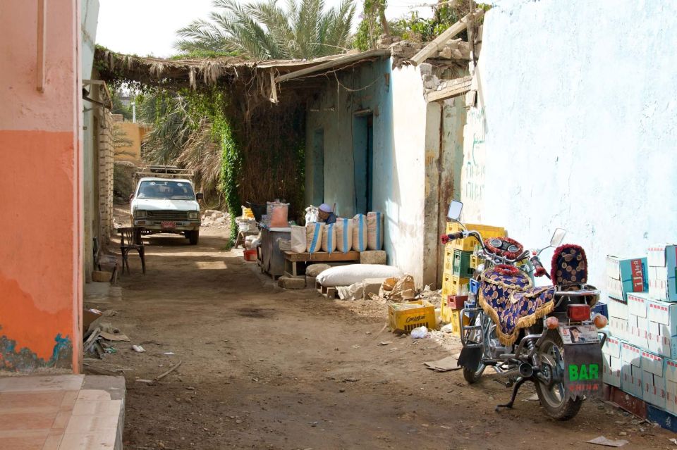 Luxor: City Tour by Horse Carriage From the East Bank - Tour Description