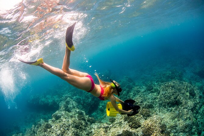Luxury Kona Coast Snorkel Tour Including Lunch - Review Highlights