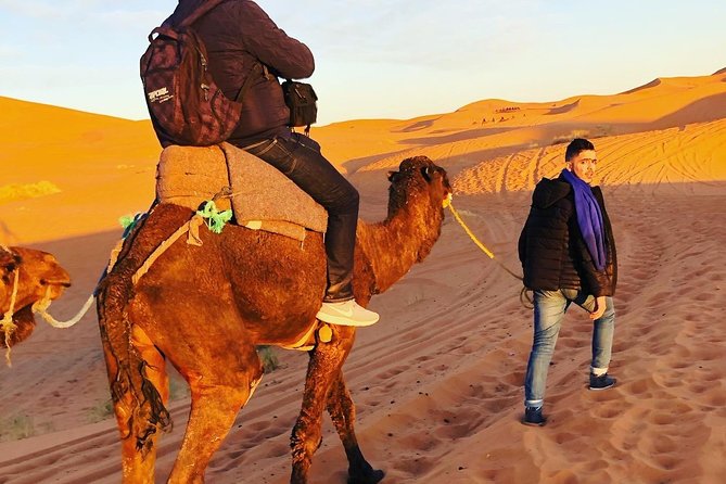 Luxury Overnight Sahara Desert Trip Fez Back to Fez or Marrakech - Valuable Feedback and Recommendations