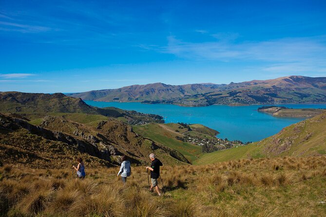 Lyttelton Shore Excursion - Guided Walking Tour and Picnic - Additional Information