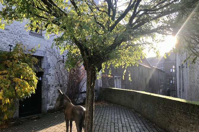 Maastricht Heritage and Nature Tour - Reviews and Ratings