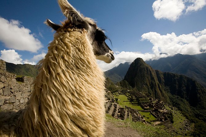 Machu Picchu Private Guided Tour From Aguas Calientes - Shuttle Bus and Admission Details