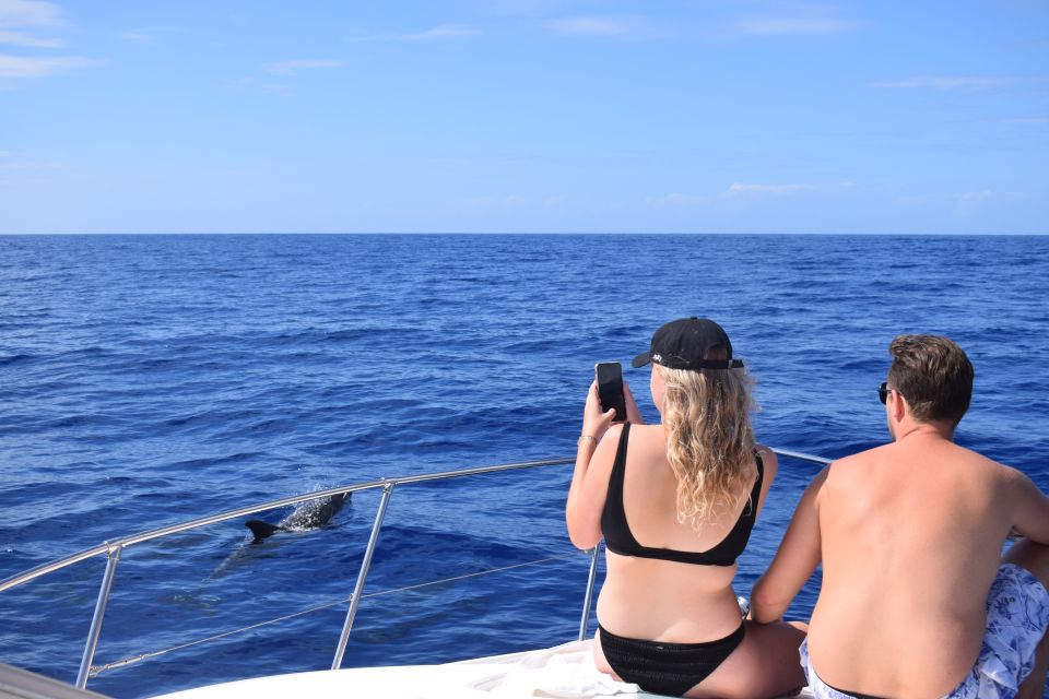 Madeira: 2.5-Hour Whale and Dolphin-Watching Cruise - Review Summary