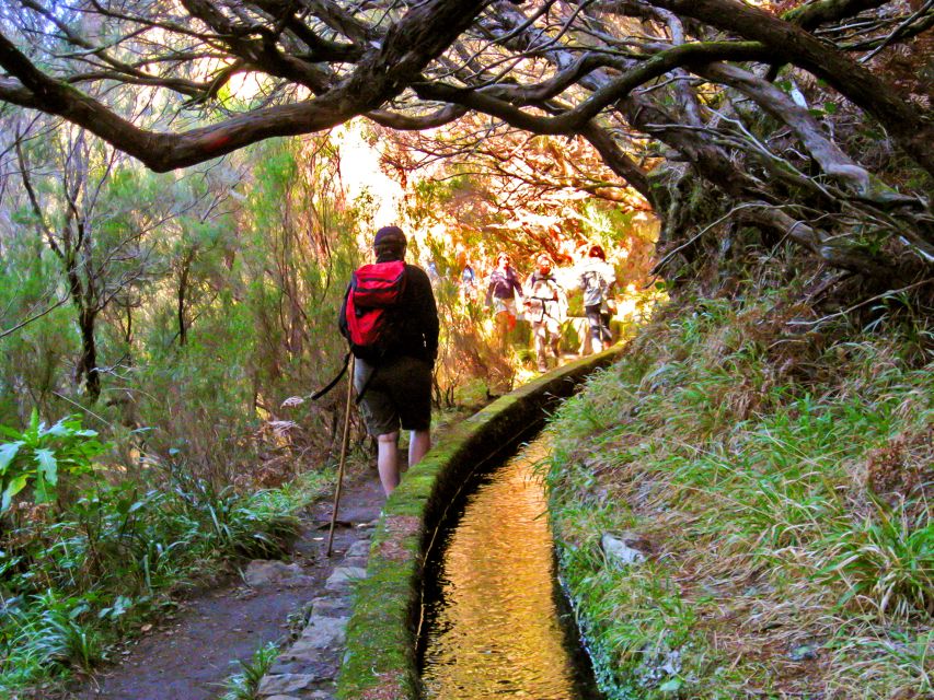 Madeira Day Trip: Levada Walk in the Rabaçal Valley - Customer Reviews