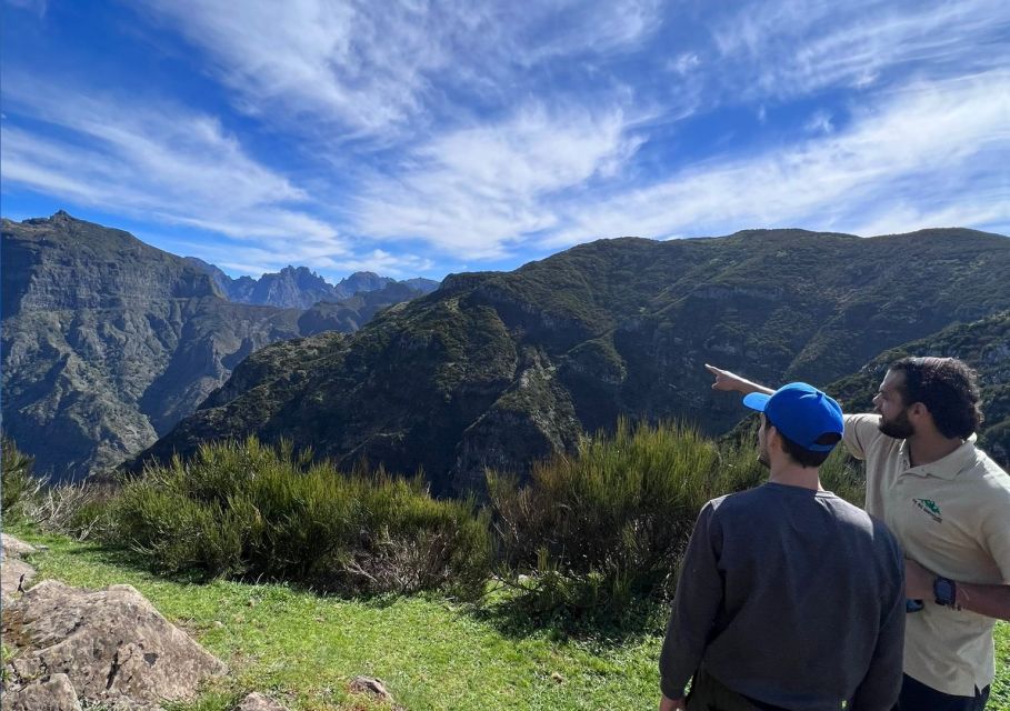 Madeira: Full-Day Jeep Tour With Guide and Pickup - Customer Reviews