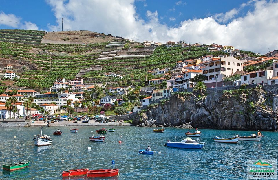 Madeira: Half-Day Nun's Valley and Sea Cliff Tour - Tour Highlights