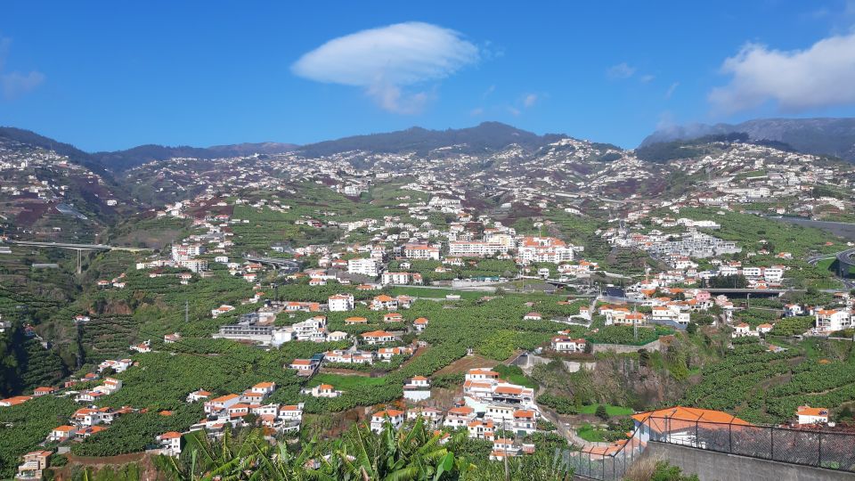 Madeira: Private Banana Farm Tour With Pickup - Insights and Information