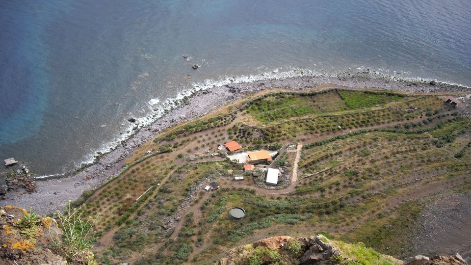 Madeira: Private Half-Day Wine Tasting Tour - Reserve & Payment Options