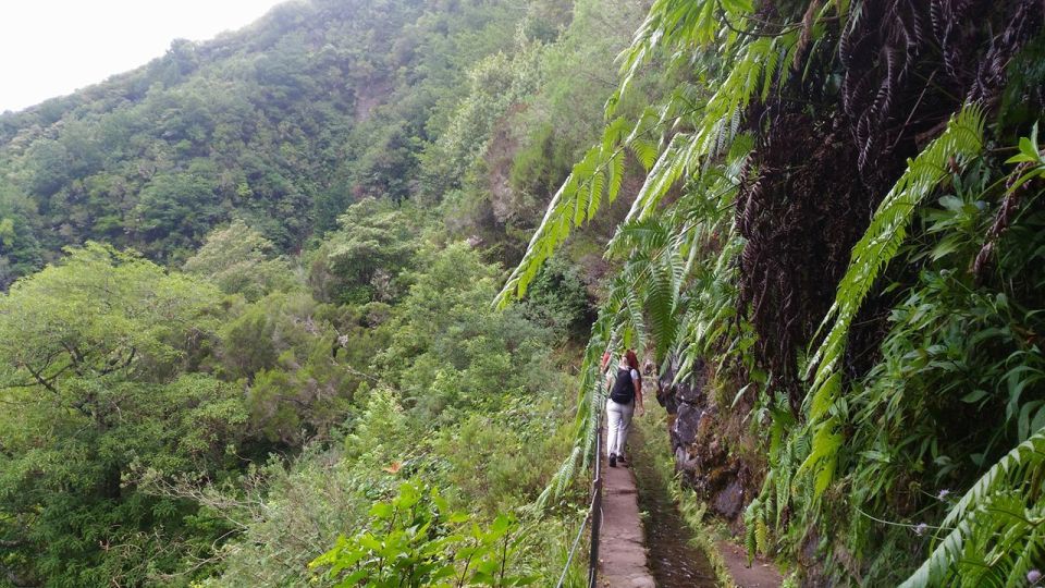 Madeira: Wildfires, Green Cauldron, and Levada Walk - Customer Testimonials