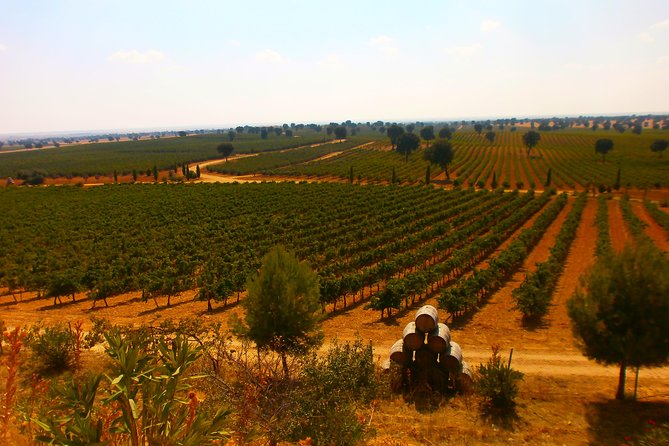 Madrid Countryside Wineries Guided Tour With Wine Tasting - Tour Highlights and Experiences