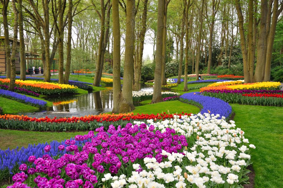 Magical Delft and the Keukenhof Estate: Tulips Galore - Tour Details