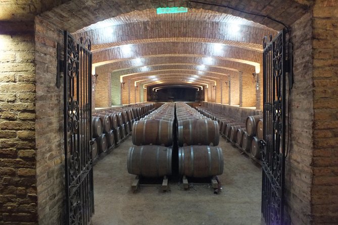 Maipo Valley Wine Tour With 4 Vineyards From Santiago. - Overall Experience and Recommendations