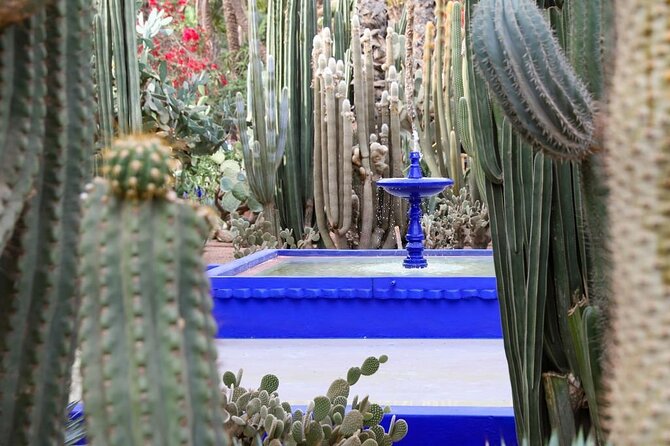 Majorelle Garden and Palmeraie Camel Ride Marrakech - Majorelle Garden Overview