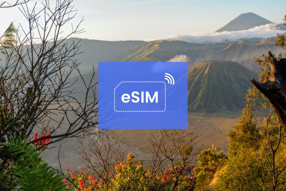 Malang: Indonesia Esim Roaming Mobile Data Plan - Participant Selection and Information Details