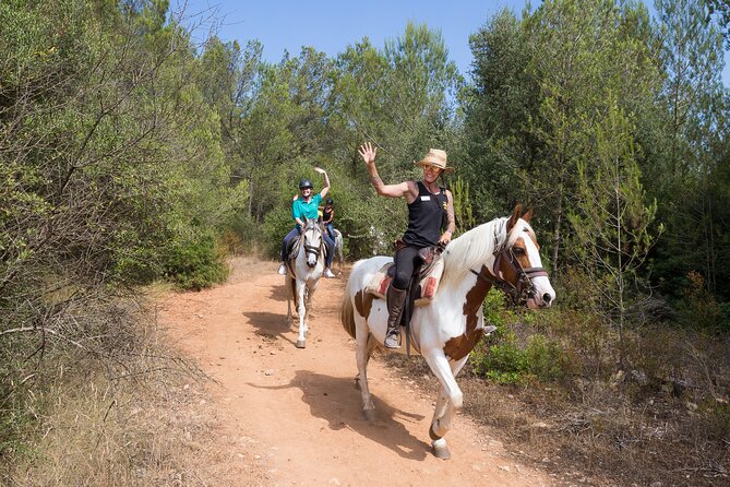 Mallorca Wine and Cheese Tasting - Support and Pricing