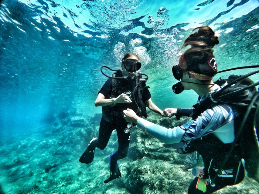 Malta: Scuba Diving Lesson & Guided Excursion - Logistics