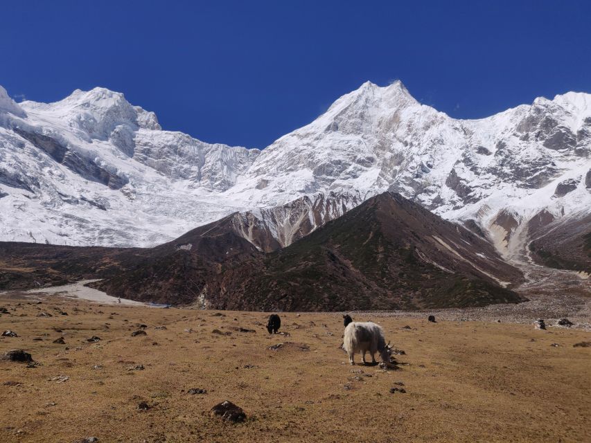 Manaslu Circuit Trek - Best Time to Trek