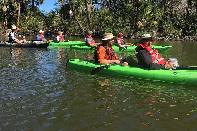 Manatee and Dolphin Kayaking Encounter - Equipment and Inclusions