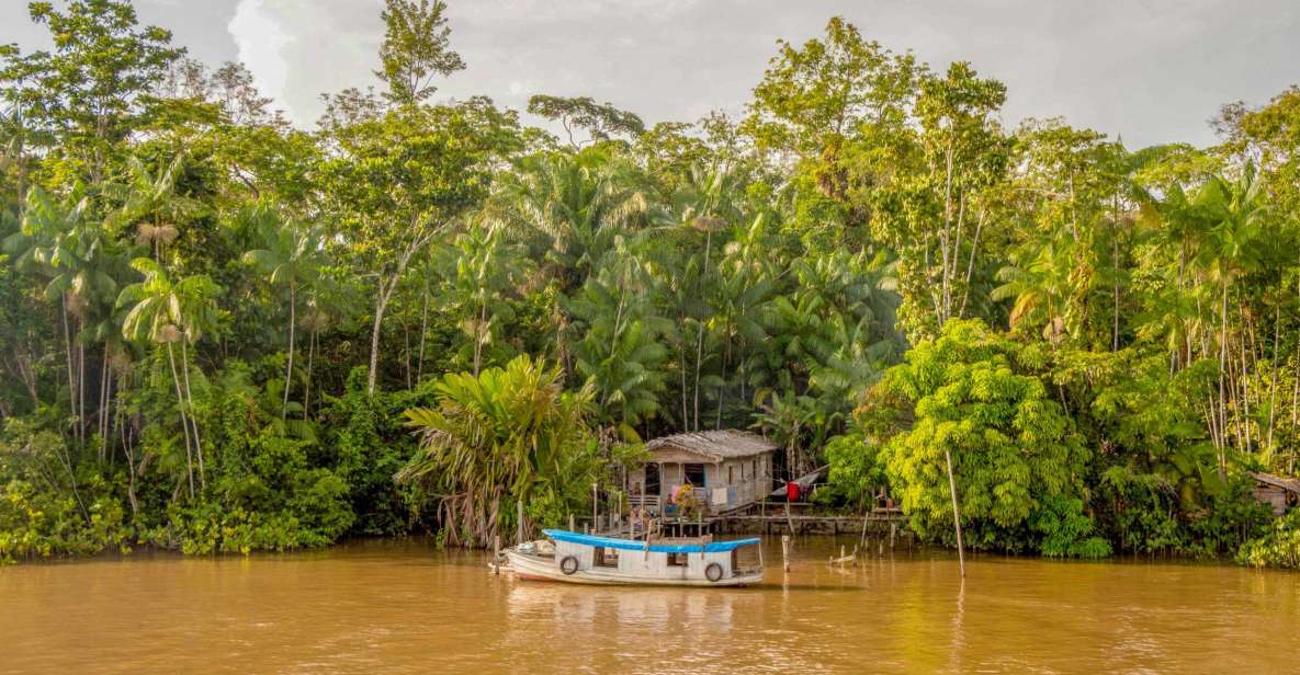 Manaus: 2, 3 or 4-Day Amazon Jungle Tour in Anaconda Lodge - Flexible Reservation and Cancellation Policy