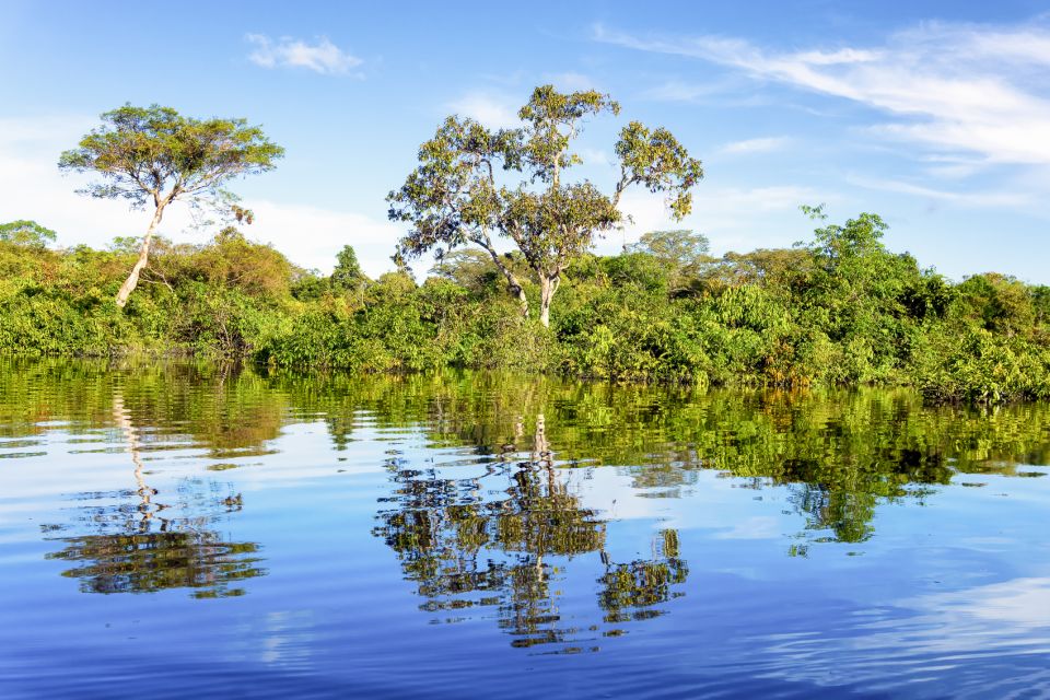 Manaus: Full-Day Tour on the Amazon River - Customer Reviews