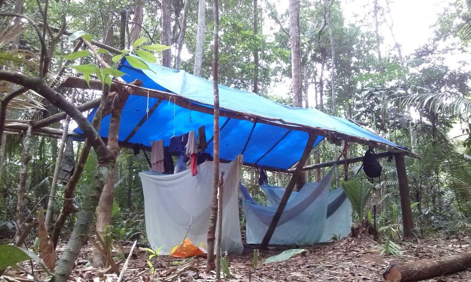 Manaus: Multi-Day Amazon Survival Trip With Camping - Community Interaction and Recommendations