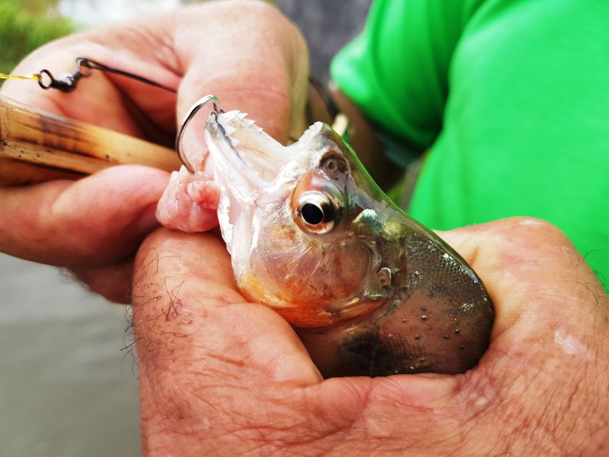 Manaus: Piranha Fishing and Alligator Watch Evening Tour - Customer Reviews