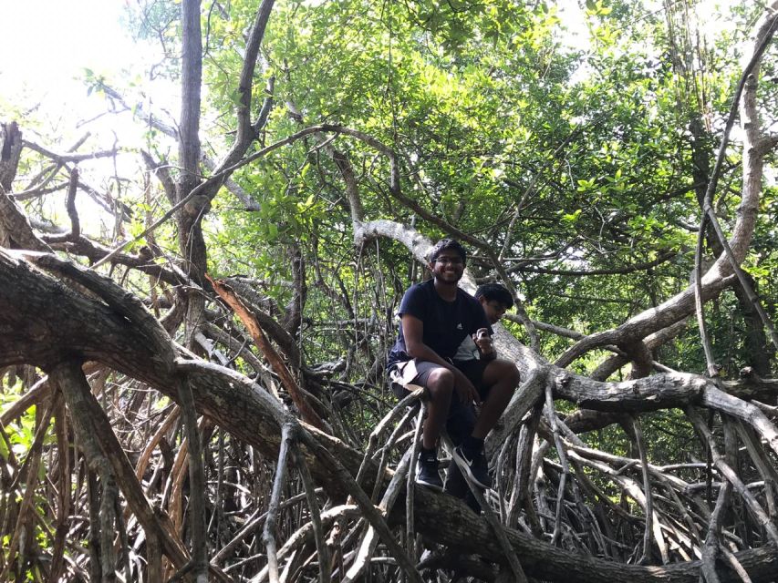 Mangrove Adventure in Bentota - Common questions