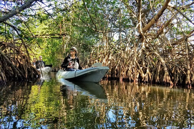 Mangrove Tunnels, Manatee, and Dolphin Sunset Kayak Tour With Fin Expeditions - Host Responses and Tour Highlights