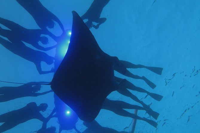 Manta Magic - Night Manta Ray Snorkel At Manta Village, Kona, Hawaii - Directions and Recommendations