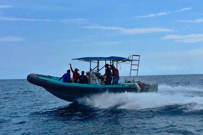 Manta Ray Night Snorkel at Kona, Big Island - Cancellation Policy