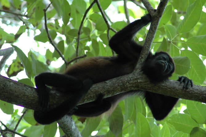 Manuel Antonio National Park Hiking Tour - Last Words