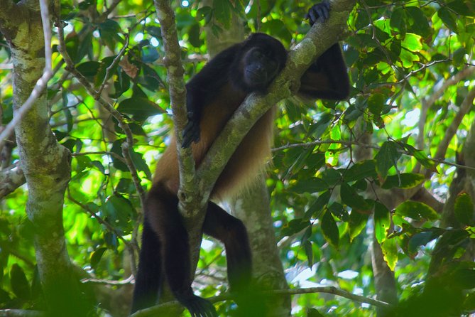 Manuel Antonio National Park Tour - Last Words