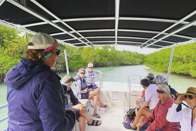 Marco Island Dolphin Sightseeing Tour - Wildlife Encounters and Satisfaction