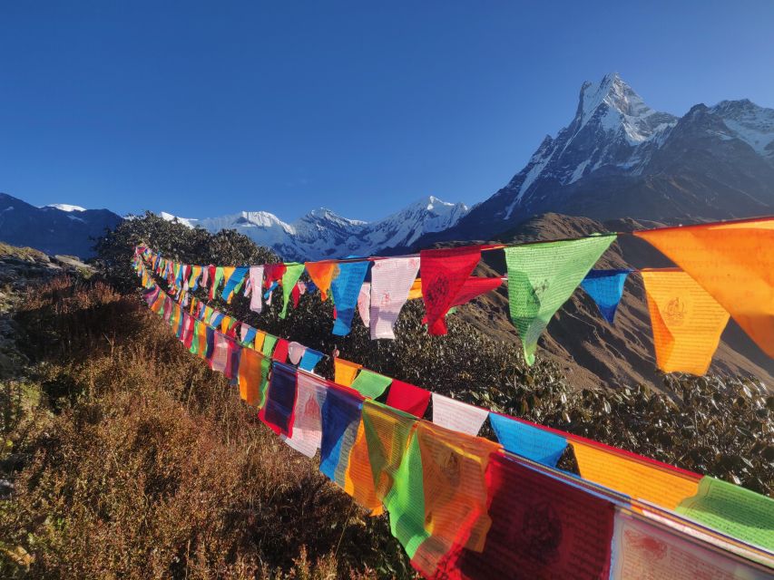 Mardi Himal: 4-days Trek - Accommodations and Meals