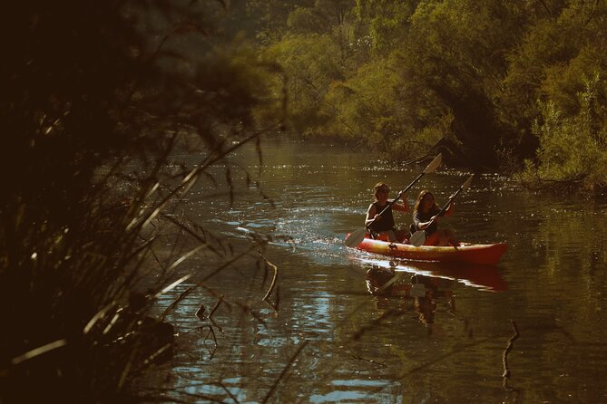 Margaret River Kayaking and Winery Tour - Pricing and Operations