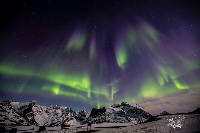 Marianne's Heaven On Earth Aurora Chaser Tours - Ratings and Reviews