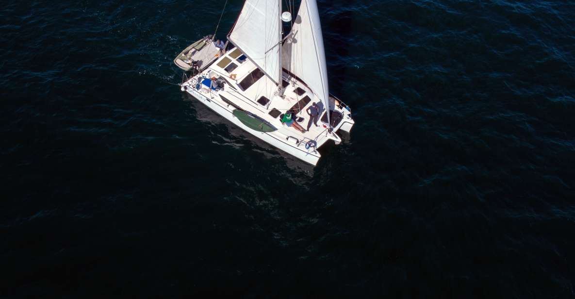 Marina Del Rey : 4 Hour Private Catamaran Sailboat Charter - Logistics