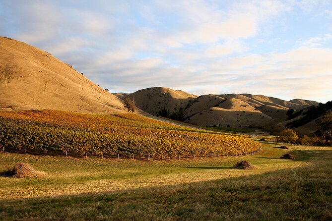 Marlborough Afternoon Wine Tour With Tastings - Booking Details