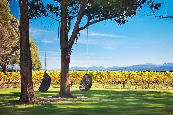 Marlborough Icons Tour - Wine Tasting Cruise - Sailing the Marlborough Sounds