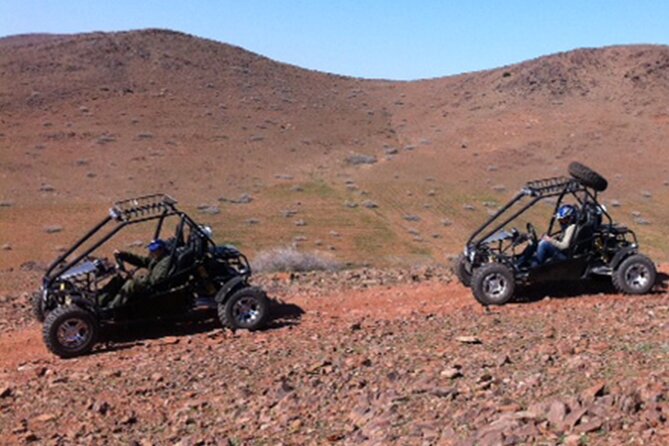 Marrakech Palm Grove 2-Hour Quad Biking Adventure. - Pricing and Booking Information