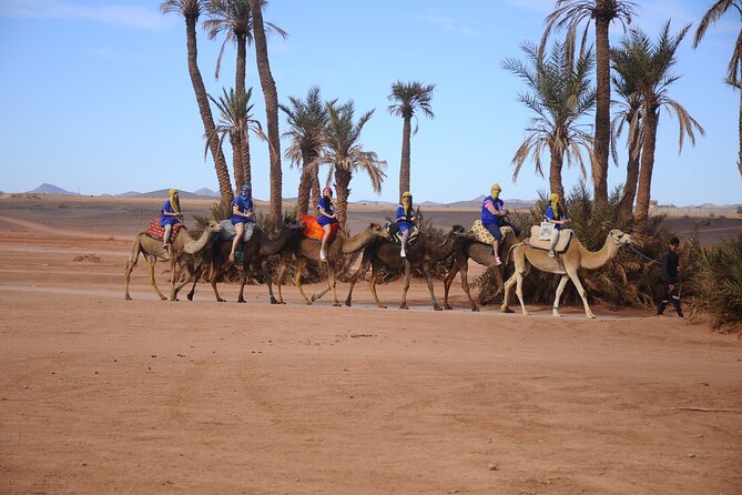 Marrakech Quad Bike Palm Grove and Desert Adventure - Participant Requirements and Restrictions