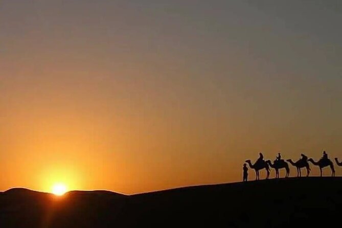 Marrakech Sunset Camel Ride & Agafay Dinner Under the Stars - Visuals and Media