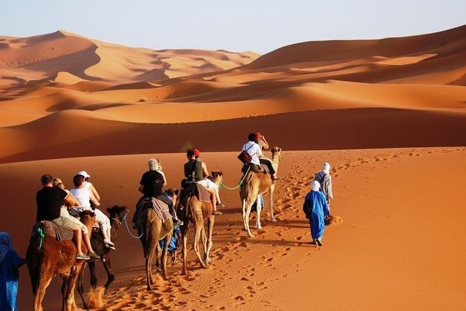 Marrakech to Fez via Merzouga Desert 3 Day Morocco Sahara Tour - Last Words